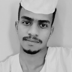 مهدي عبدالقادر