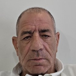 שמעון בטון