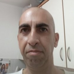 אלי
