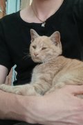 Евгений