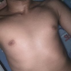 Avitar