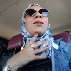 الشمس الدافئة