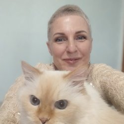 vitavavich.ru