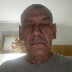 Alexander