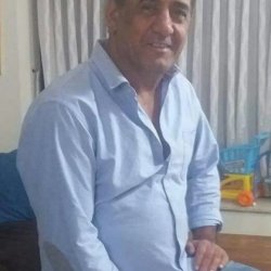 דוד