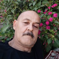 Мурат