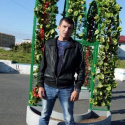 Тарас