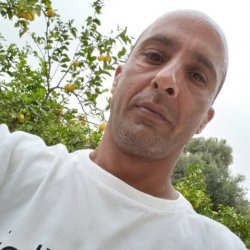 אורן