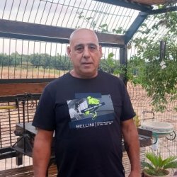 אדי