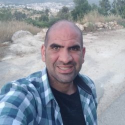 שחר