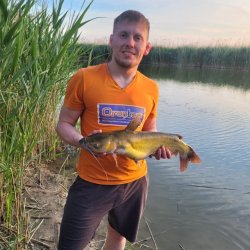 Vadim