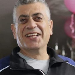 سائد