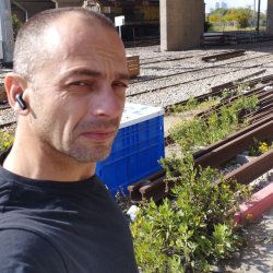 סלבה