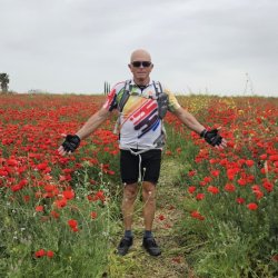שמעון שטרית