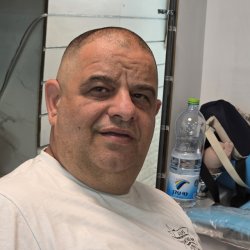 אלון