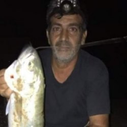 שמעון