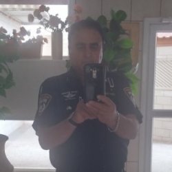 אבי