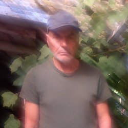 Jaugen