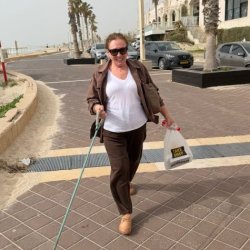 מאיה