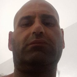 מאיר