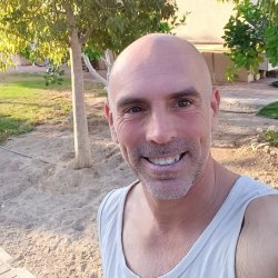 hay