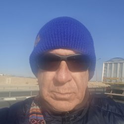 אילן