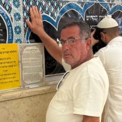 אלי