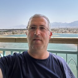 דוד