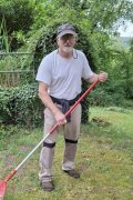 Vladi