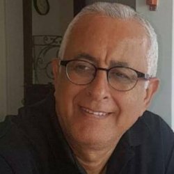 אילן