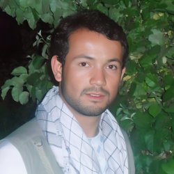 Wakil 