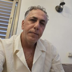 דודי