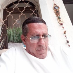 אילן