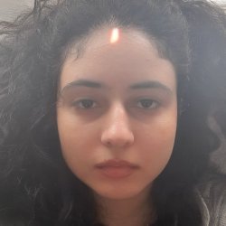 מיכל