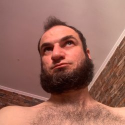Armans