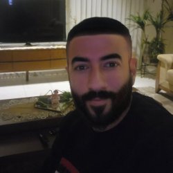 גריס