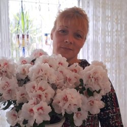Olena