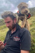 Hamish