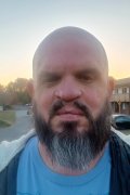 Papa Bear