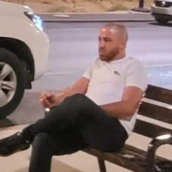 אמיר