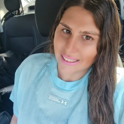 מיטל