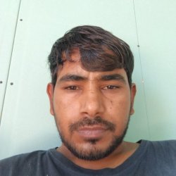 Anil