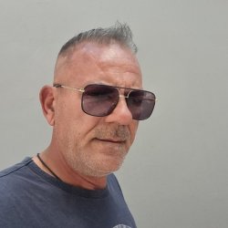 אילן
