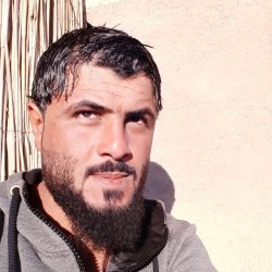 عمرو