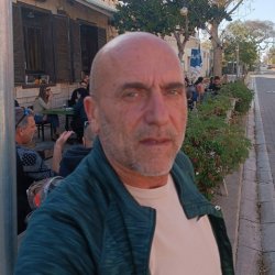 זאביק הולנדר בפיס