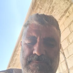 محمود