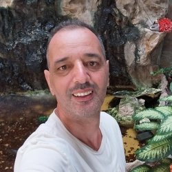קובי