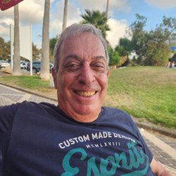 צבי