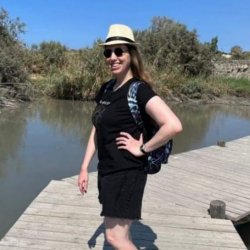 מיטל