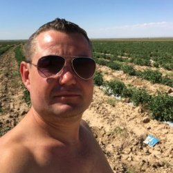 Димитрии